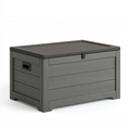 Garten-Aufbewahrungsbox 120 x 52 x 60 cm Kunststoff Anthrazit mit Deckel
